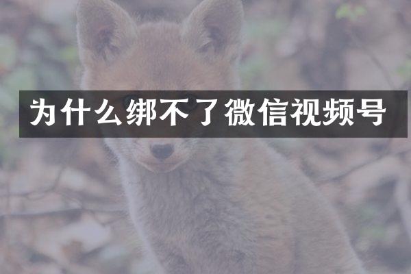 为什么绑不了微信视频号