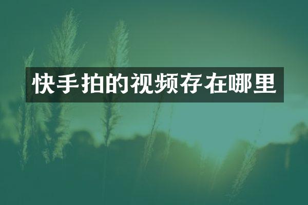 快手拍的视频存在哪里