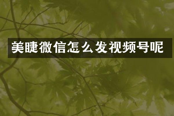 美睫微信怎么发视频号呢
