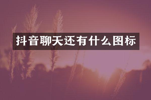 抖音聊天还有什么图标