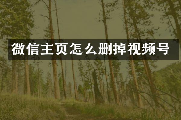 微信主页怎么删掉视频号
