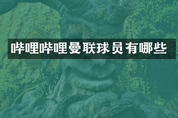 哔哩哔哩曼联球员有哪些