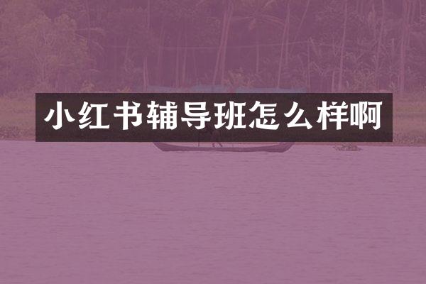 小红书辅导班怎么样啊