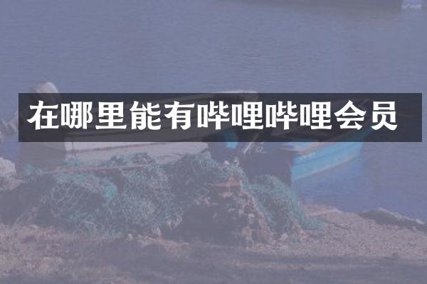 在哪里能有哔哩哔哩会员