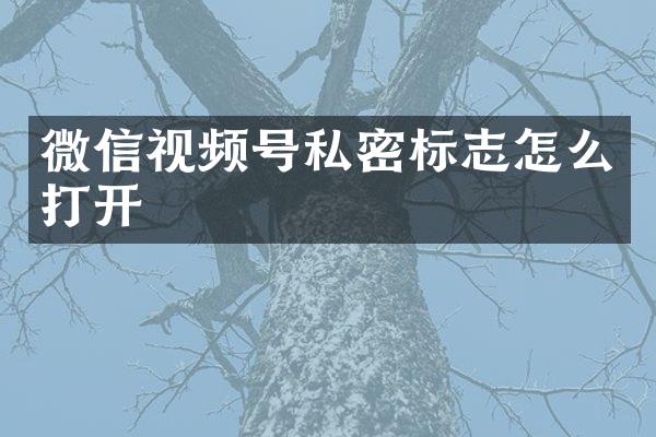 微信视频号私密标志怎么打开