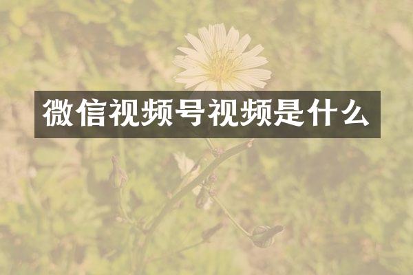 微信视频号视频是什么