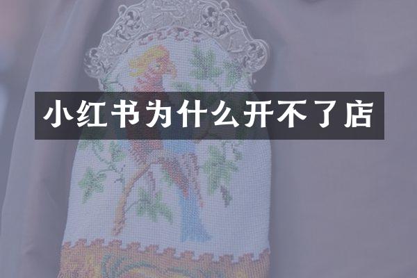 小红书为什么开不了店