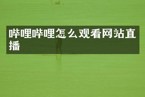 哔哩哔哩怎么观看网站直播