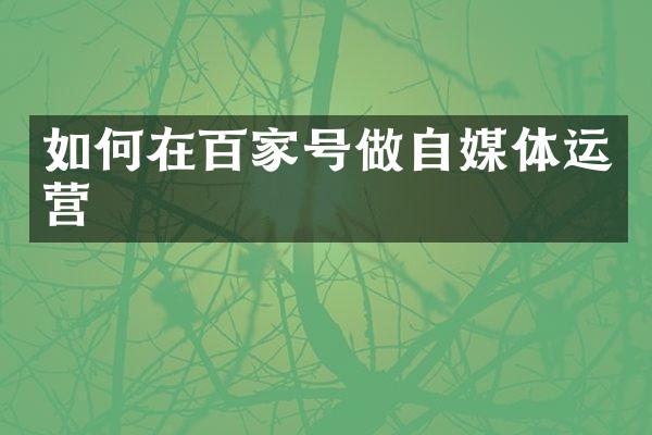 如何在百家号做自媒体运营