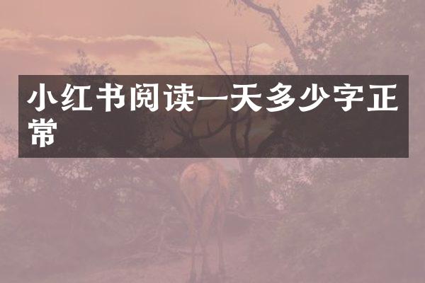 小红书阅读一天多少字正常