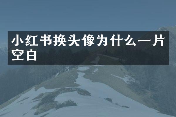 小红书换头像为什么一片空白