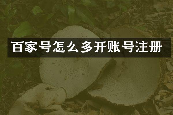 百家号怎么多开账号注册