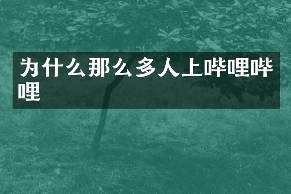 为什么那么多人上哔哩哔哩