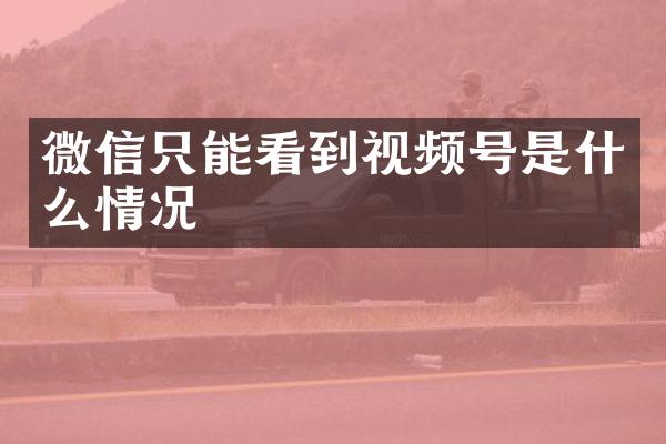 微信只能看到视频号是什么情况