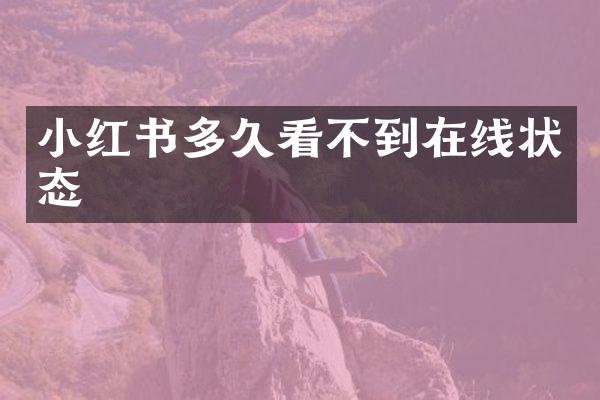 小红书多久看不到在线状态