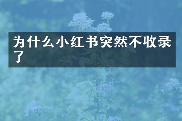 为什么小红书突然不收录了