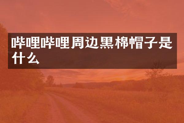 哔哩哔哩周边黑棉帽子是什么