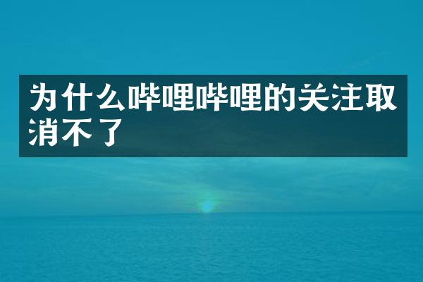 为什么哔哩哔哩的关注取消不了