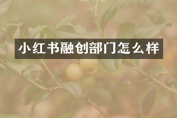 小红书融创部门怎么样