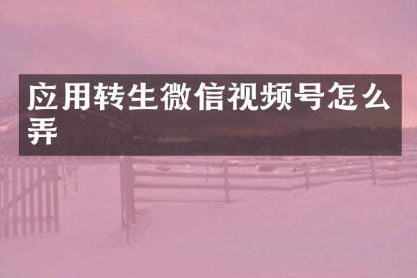 应用转生微信视频号怎么弄