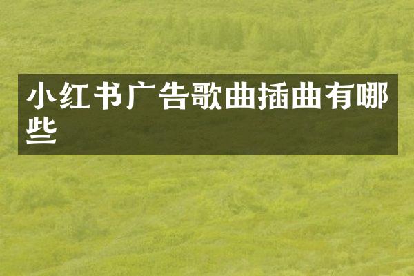 小红书广告歌曲插曲有哪些