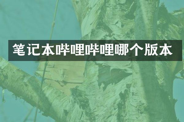 笔记本哔哩哔哩哪个版本