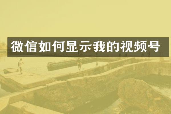 微信如何显示我的视频号