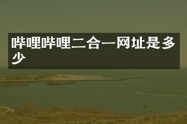 哔哩哔哩二合一网址是多少