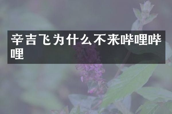 辛吉飞为什么不来哔哩哔哩