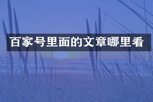 百家号里面的文章哪里看