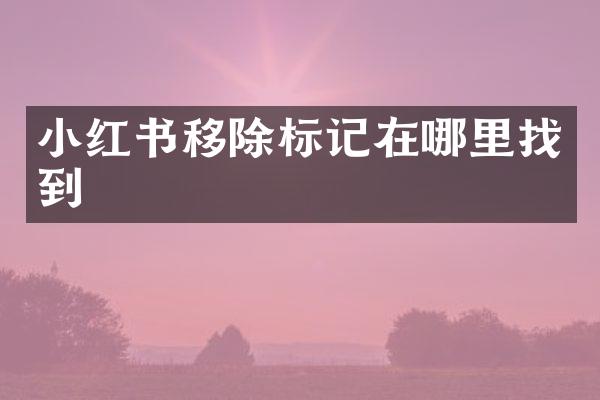 小红书移除标记在哪里找到