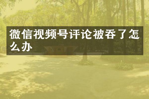 微信视频号评论被吞了怎么办