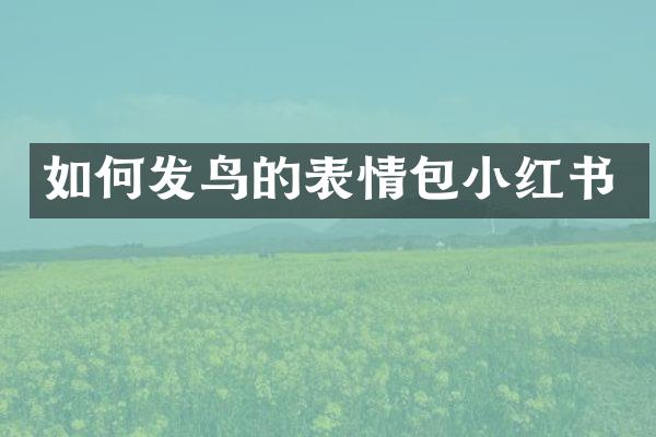 如何发鸟的表情包小红书