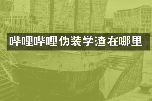 哔哩哔哩伪装学渣在哪里