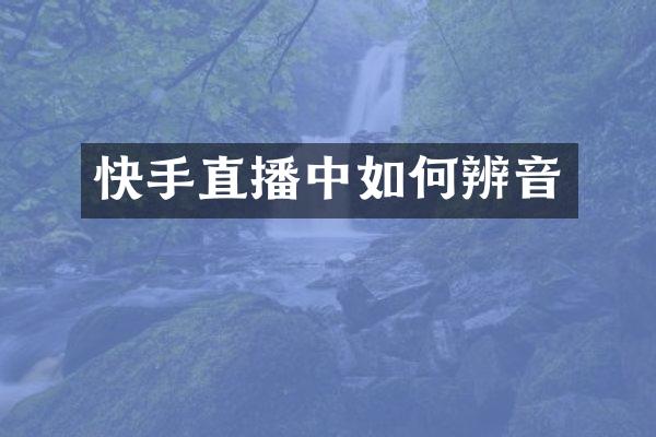 快手直播中如何辨音
