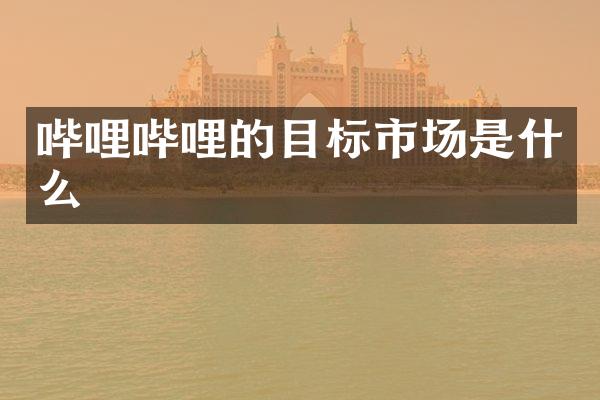 哔哩哔哩的目标市场是什么