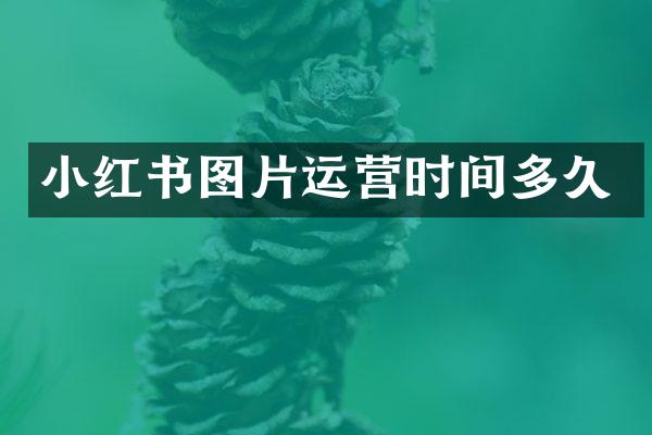 小红书图片运营时间多久