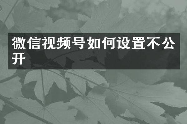 微信视频号如何设置不公开