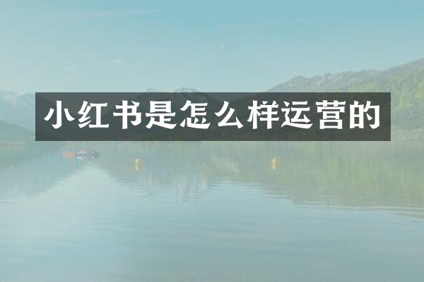 小红书是怎么样运营的