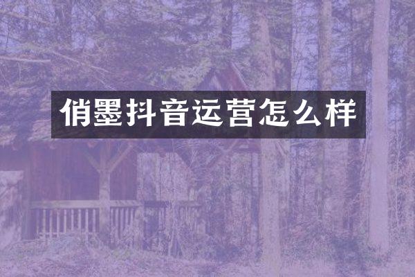 俏墨抖音运营怎么样