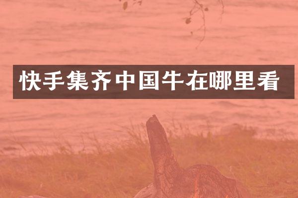 快手集齐中国牛在哪里看