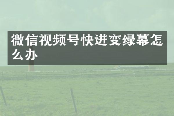 微信视频号快进变绿幕怎么办
