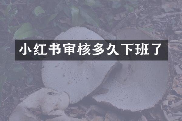 小红书审核多久下班了