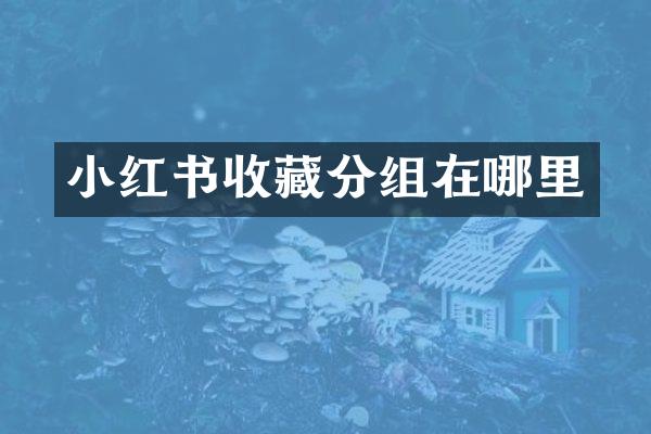 小红书收藏分组在哪里