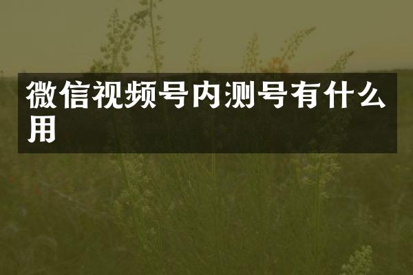 微信视频号内测号有什么用