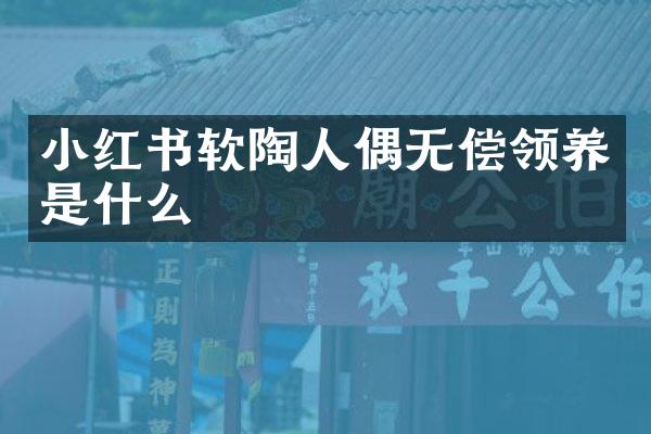 小红书软陶人偶无偿领养是什么
