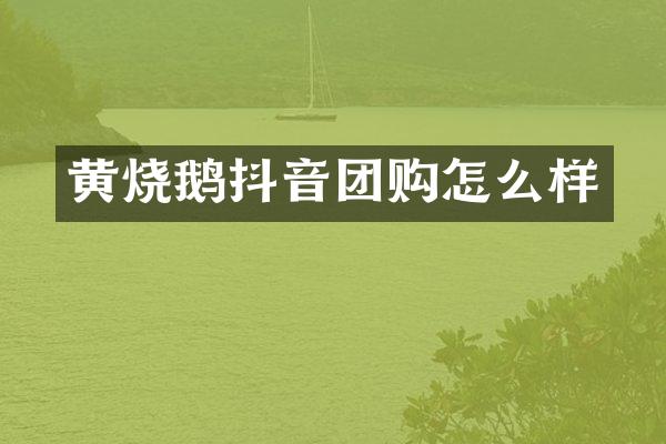 黄烧鹅抖音团购怎么样