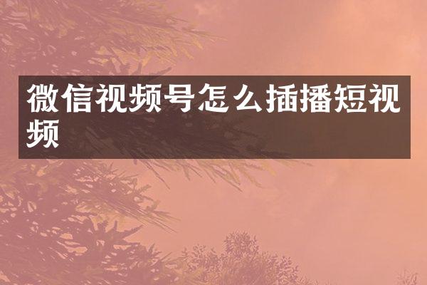 微信视频号怎么插播短视频