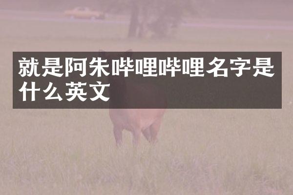 就是阿朱哔哩哔哩名字是什么英文
