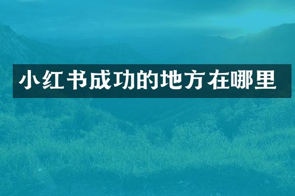 小红书成功的地方在哪里